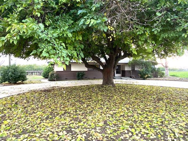 5231 Chico Ave, Kingsburg, CA 93631